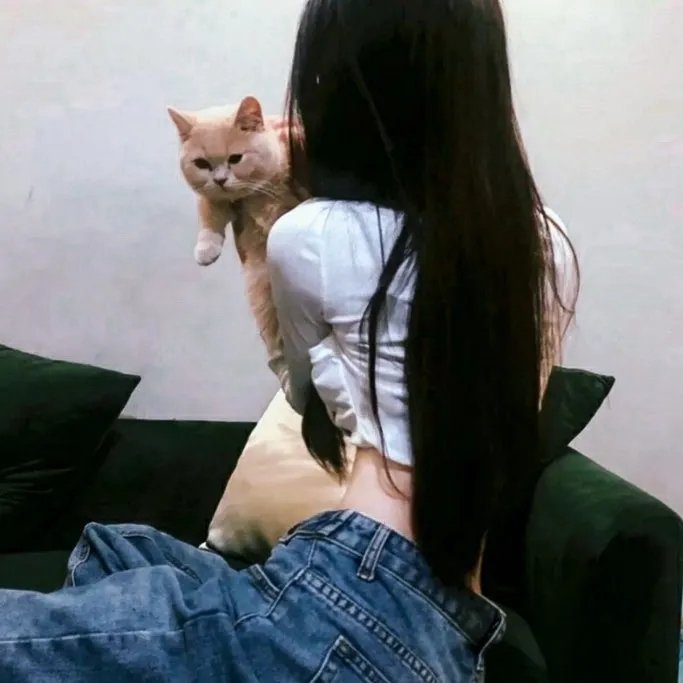孔雀王朝